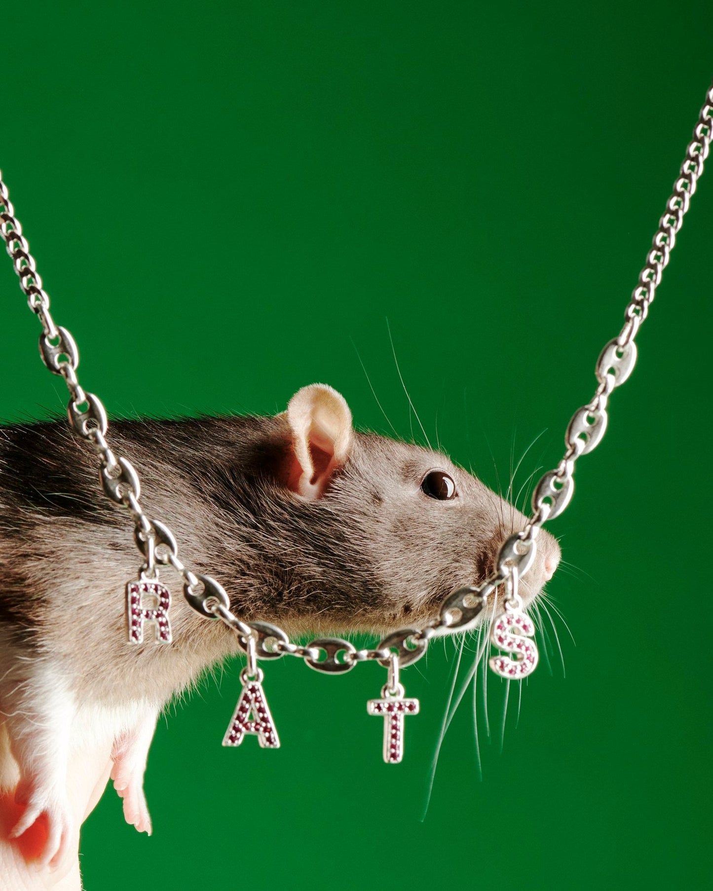 Rats Necklace - Wholesale